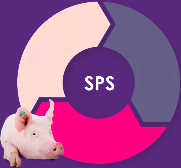 supersows logo